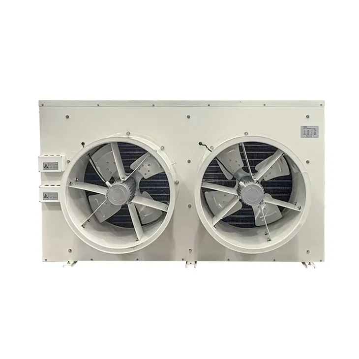 RFJ Compact 3126m³/h 1.7KW 2 Fans DJ10 Air Cooler For Small Freezer factory