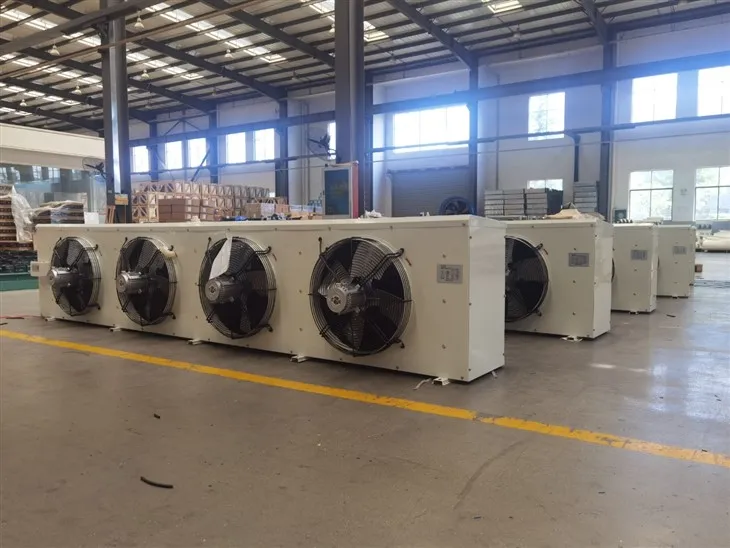 RFJ Cost-effective High-output 37.2KW DD200 Air Cooler For 200㎡ Cold Storage best