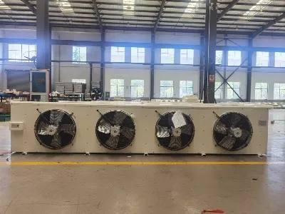 product-1333-1000 product-1333-1000