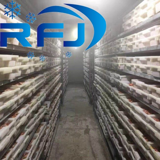 Quick-freezing Seafood Cold Storage Flat Plate Type