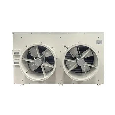 RFJ Compact 3126m³/h 1.7KW 2 Fans DJ10 Air Cooler For Small Freezer