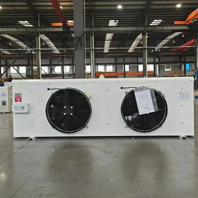 Robust Fast-defrost 8900W 11000m³/h DJ55 Air Cooler